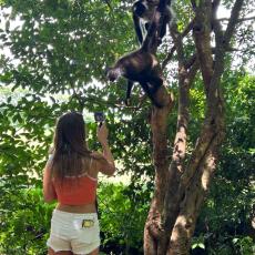 Mangrove Kayak & Monkey Sanctuary - activity in El Salvador