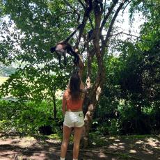 Mangrove Kayak & Monkey Sanctuary - activity in El Salvador